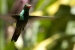 20120903-IMG_6410-3