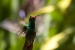 20120903-IMG_6414-3