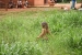 Misiones 307.jpg