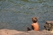 Misiones and Iguazu 018.jpg