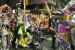 Montevideo 2 386