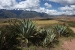 Ollayantambo 1 115.jpg