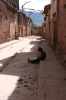 Ollayantambo 1 173.jpg
