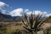 Ollayantambo 1 250.jpg