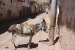 Ollayantambo 1 369.jpg