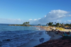 thumb_20151224_161951_1024