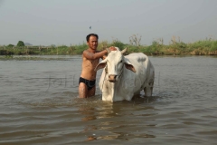 Inle Lake 2_20150317_5642