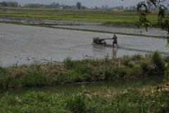 Lake Inle day 2_20150318_5970