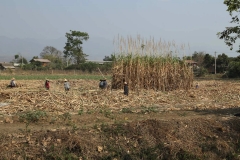 Lake Inle day 2_20150318_6063