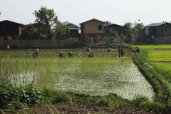 Lake Inle day 2_20150318_6093
