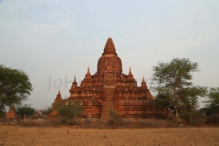 bagan day five_20150314_4056