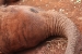 Nairobi 014.jpg
