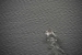 Navimag-hanging-glacier-229