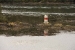 navimag-chile-1-467