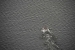 navimag-hanging-glacier-229