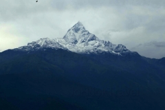 Annapurna Final days_20150915_5249