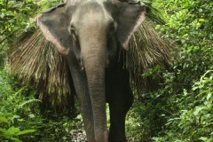 bhakatapur_20150813_0426
