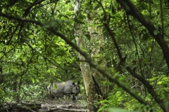 bhakatapur_20150813_0443