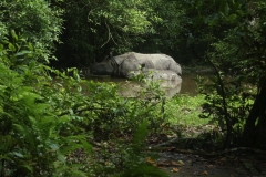 bhakatapur_20150813_0488