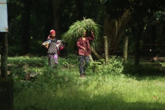 bhakatapur_20150814_0309