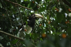 bhakatapur_20150814_0366