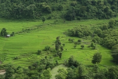 bhakatapur_20150815_0197