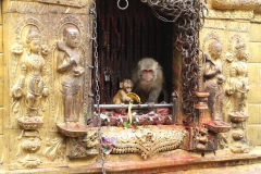 kathmandu 2_20150807_4639