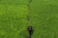 pokhara_20150911_9361