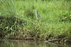 recovered photos_20150813_1000