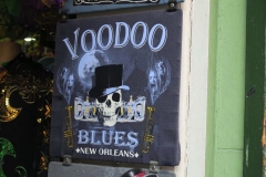 thumb_20170209_New Orleans_0011_1024