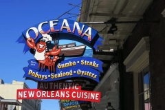 thumb_20170210_New Orleans 3_0005_1024
