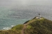 New Zealand 311