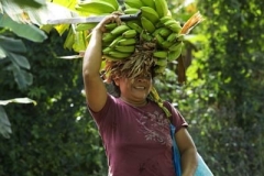 thumb_20160918_ometepe hike_0244_1024