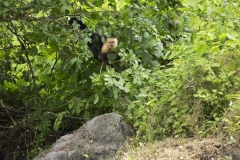 thumb_20160918_ometepe hike_0418_1024