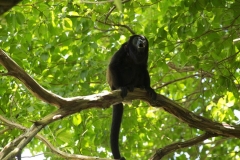 thumb_20160918_ometepe hike_0686_1024