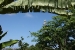 Olinda 076