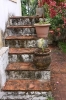 Olinda 144