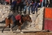 Fiesta Ollamtaytambo 3 195.jpg