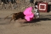 Fiesta Ollamtaytambo 3 201.jpg