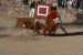 Fiesta Ollamtaytambo 3 203.jpg