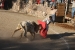 Fiesta Ollamtaytambo 3 233.jpg