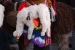 Fiesta Ollantaytambo 080.jpg
