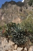Ollayantambo 002.jpg
