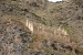 Ollayantambo 006.jpg