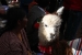 oruro carnival 011.jpg