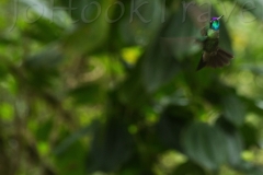 thumb_11 (1 of 1)_1024