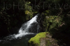 thumb_20160903_Cerro Punta_0154_1024