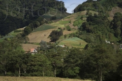 thumb_20160904_Cerro Punta_0035_1024
