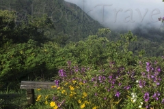 thumb_20160906_La Suiza Panama_0192_1024
