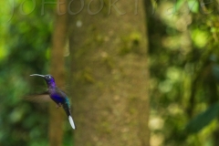 thumb_7 (1 of 1)_1024